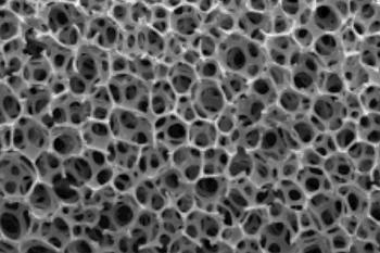 Image: Scanning electron microscope image of the expanded foam (Photo courtesy of Arsenal Medical).